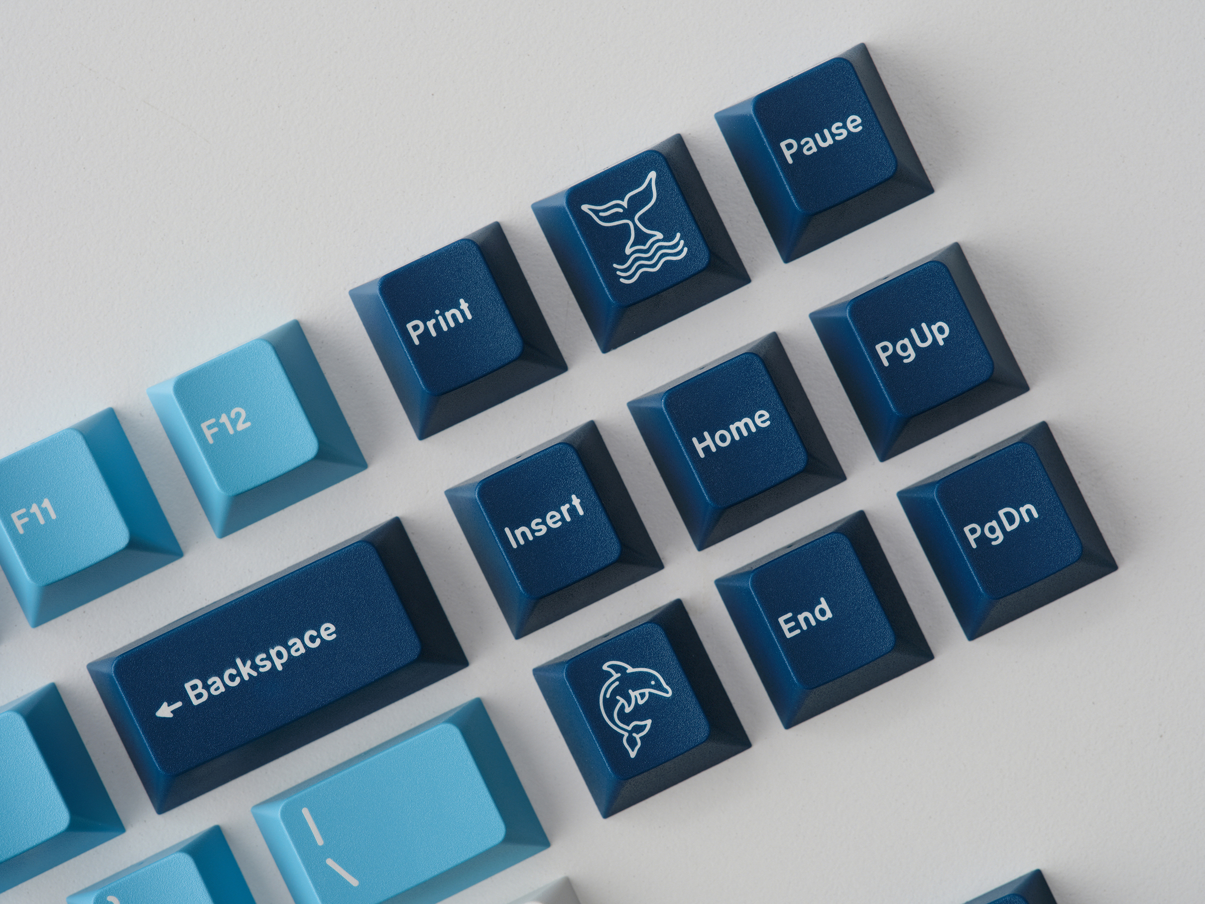 GMK CYL Manta Keycaps
